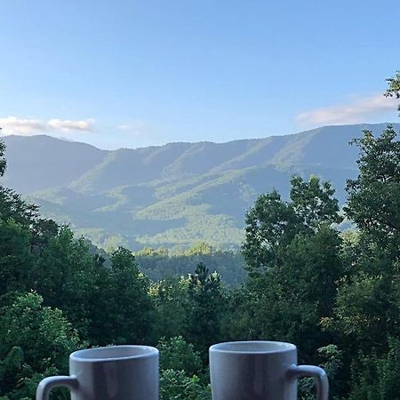 Tennessee Roots By Stony Brook Cabins جاتلينبرج المظهر الخارجي الصورة