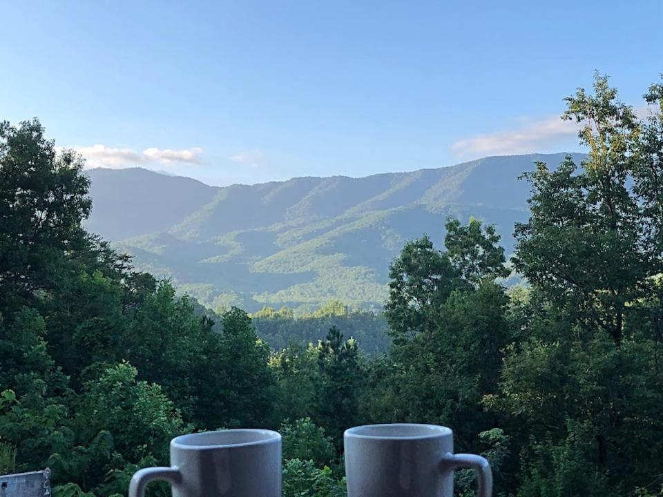 Tennessee Roots By Stony Brook Cabins جاتلينبرج المظهر الخارجي الصورة